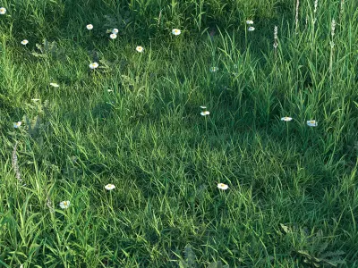 Grass set 3D model