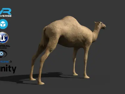 Camel Low-poly 3D model