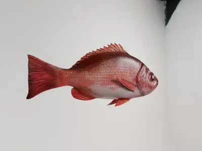 Red snapper Free low-poly 3D model
