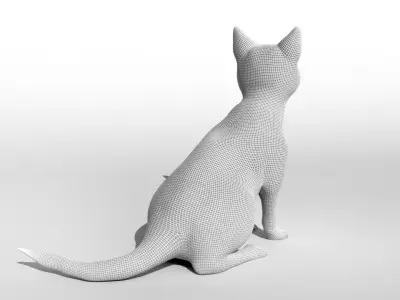 Cat pet 3D model