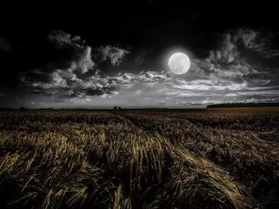 0igdgfd full moon in field 3D model