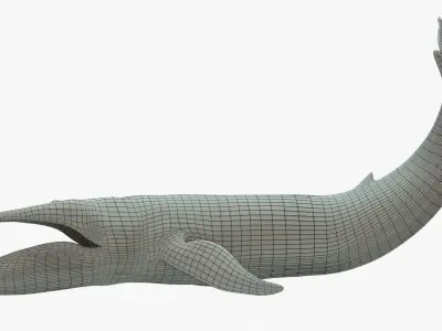 Blue Whale Rigged Basemesh Low-poly 3D model