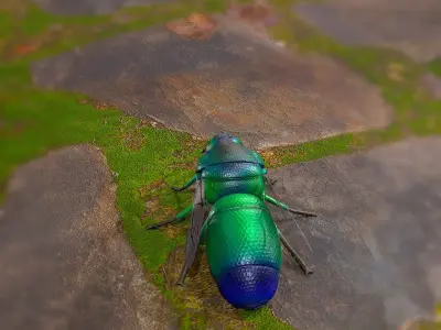 Cuckoo Wasp Low-poly 3D model