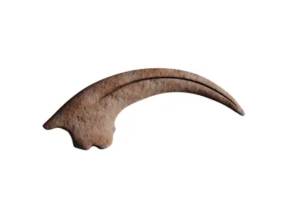 Velociraptor Claw Fossil Low-poly 3D model