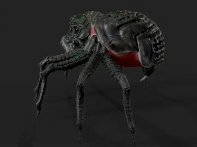 Spider - Tarantula with animations 3D model