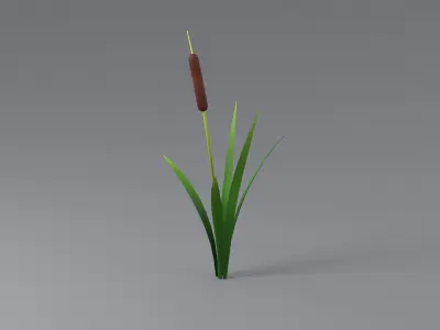Cartoon Cattail 01 3D model