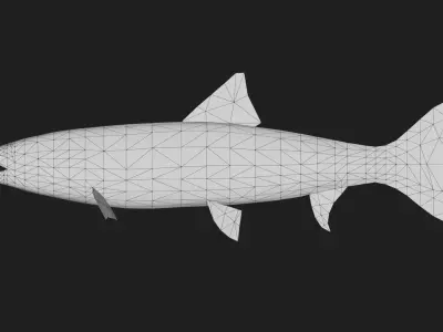 Yellowcheek Low-poly 3D model