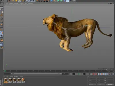 Lion Savane Free 3D model