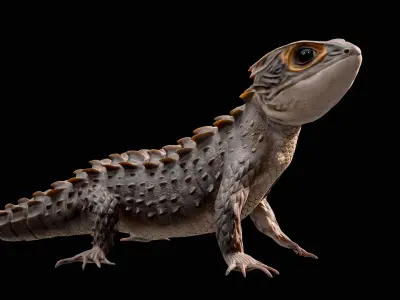 Crocodile Skink Lizard Rigged PBR 3D model