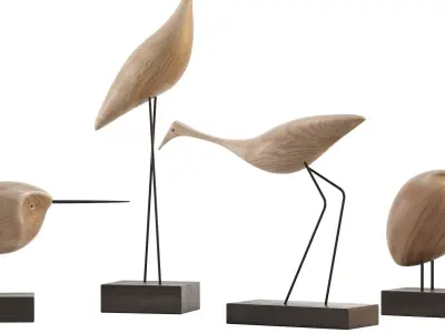 Beak Bird Teak 3D model
