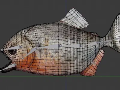Piranha fish Low-poly 3D model