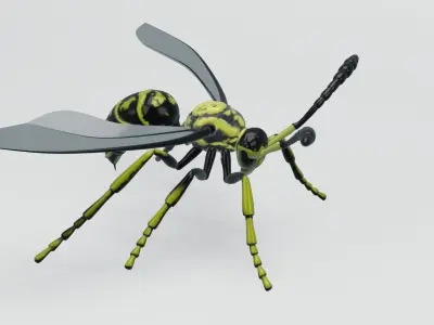  Wasp insect nature 3D model