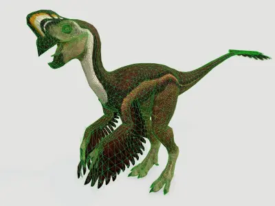 Oviraptor Low-poly 3D model