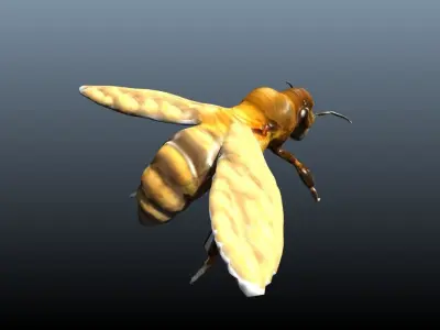 honey bee lowpoly Low-poly 3D model