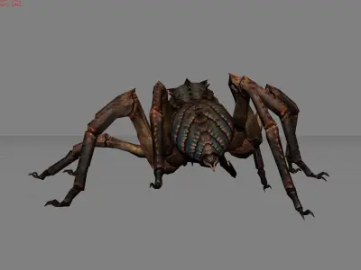 Spider I Animal Low-poly 3D model