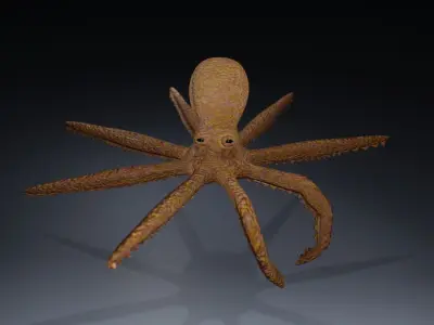 Blender Rigged Octopus 3D model