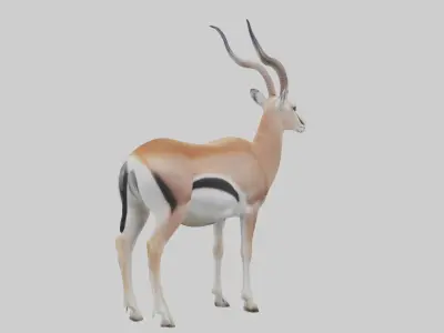 Spakes gazelle Low-poly 3D model
