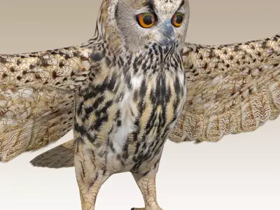 Great Horned Owl  Low-poly 3D model