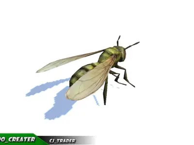 Low-Poly Honey Bee Rigged Animated 3d model Low-poly 3D model