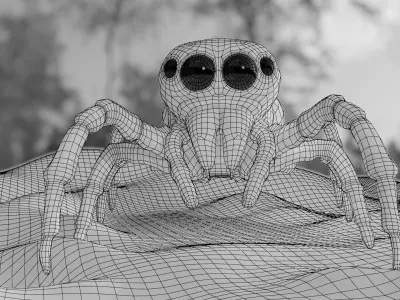 Jumper-Spider spider Low-poly 3D model