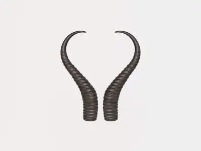 Horn V3 3D model