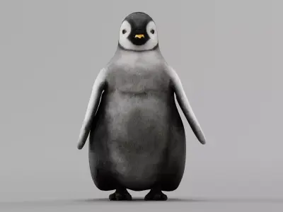 Emperor Penguin Baby Animal 3D model