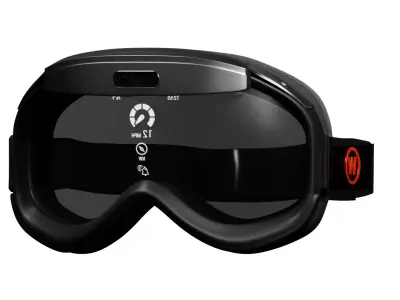 Flower goggles 3D model