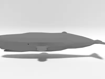 Low Poly Cartoon Sperm Whale  Low-poly 3D model