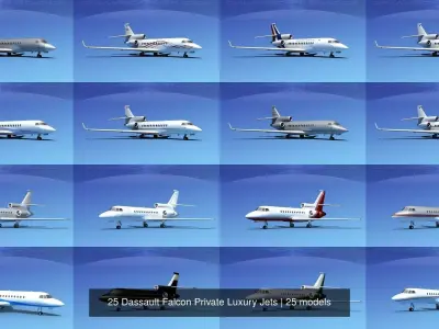 25 Dassault Falcon Private Luxury Jets 3D Model Collection
