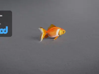 Gold Fish 3D model