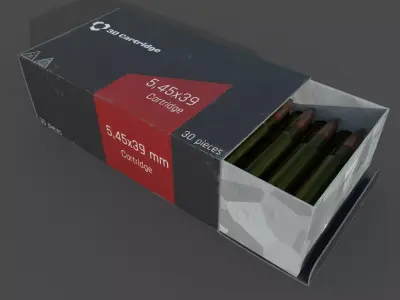 Cartridges in the box 3D model