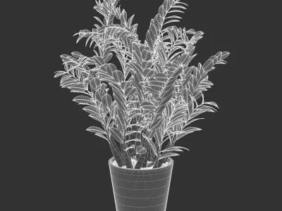  ZZ Zanzibar Gem Potted Plant Model 