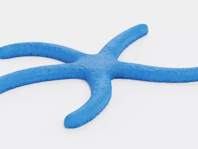 -Blue Stafish - Linckia Laevigata Rigged- 3D model