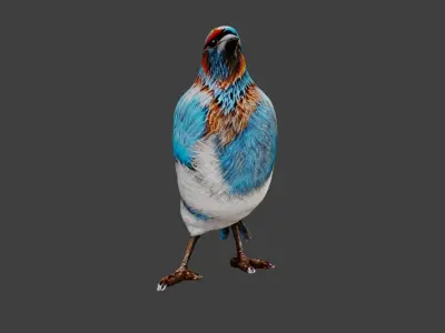 Bird Animal Low-poly 3D model