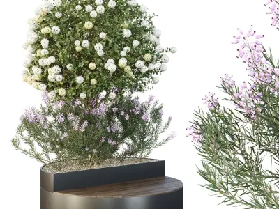 Tree and bush garden box outdoor VOL 20 Free 3D model