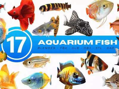 Aquarium Fish Collection - 17 Set 3D model