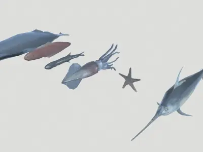 Sea Fish Low-poly 3D model