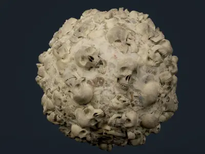 30 Skulls Seamless PBR Texture Pack Texture