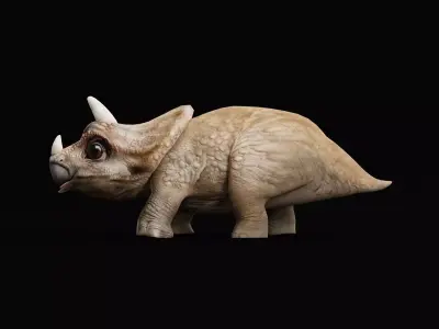 Triceratops Baby Reptile Dinosaur Low-poly 3D model