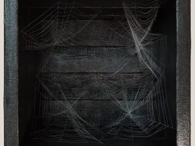 Spiderweb for shelves 3D model