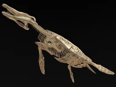 Pliosaur skeleton 3D model