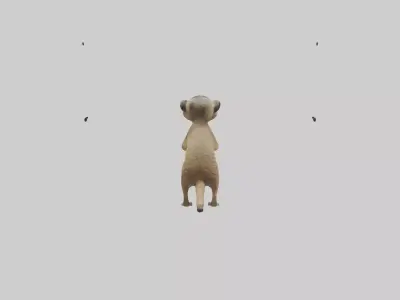 Meerkat cub watching model Low-poly 3D model