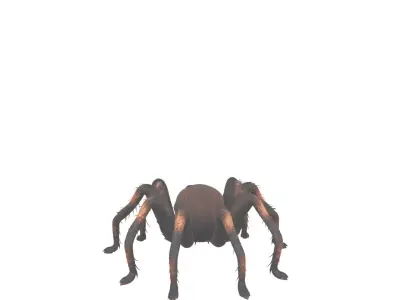 Giant Hairy Spider Plush 3D Model Game Character 3D model