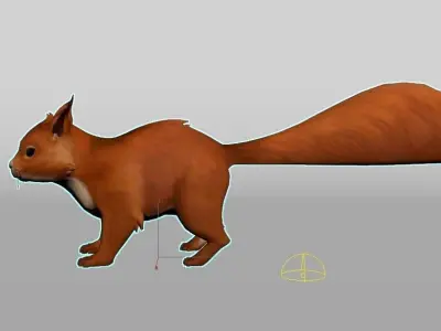 Squirrel colorful Low-poly 3D model