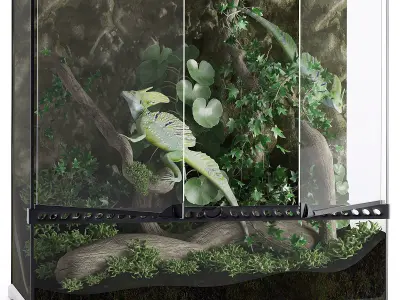 A set of terrariums  bonus Blue Island Viper Low-poly 3D model