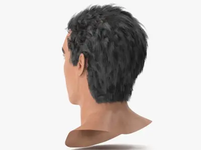 Male Head 3D model purchase