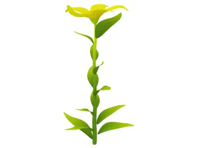 Plant 3D model