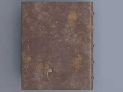 Templars' Book 3D model