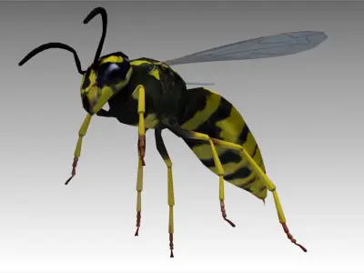 Wasp Animated Low-poly 3D model