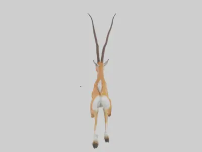 Springbok hopping model 3D model